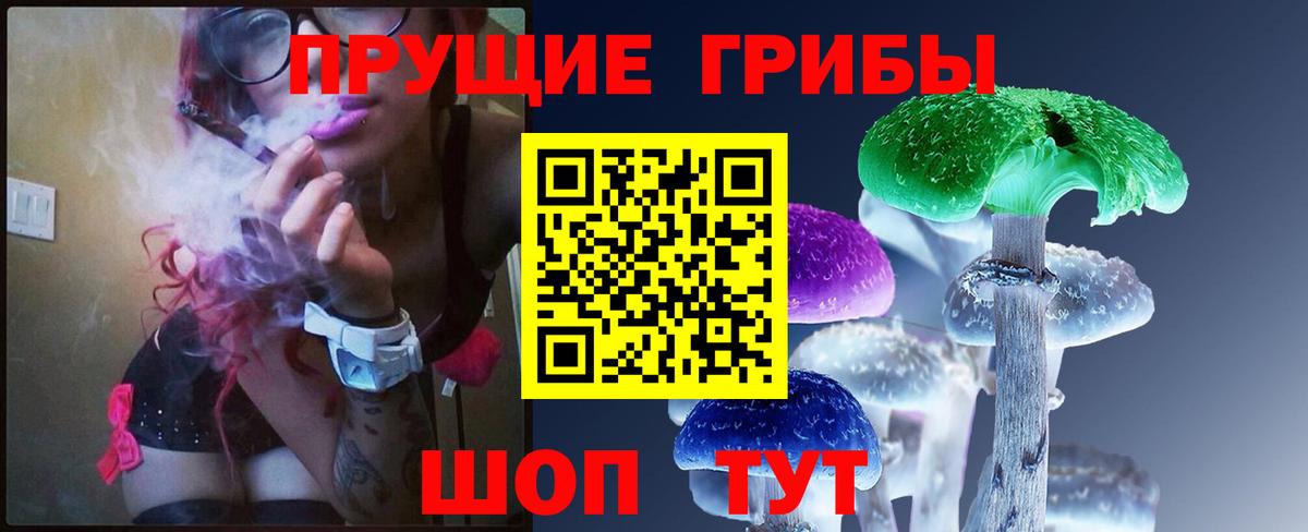 Псилоцибиновые грибы мухоморы Санкт-Петербург